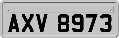 AXV8973