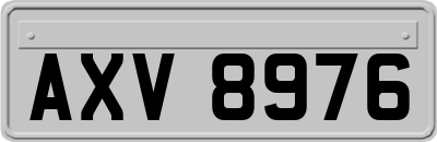 AXV8976