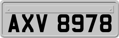 AXV8978