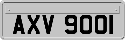 AXV9001