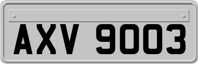 AXV9003