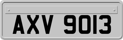 AXV9013