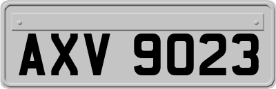 AXV9023