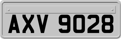 AXV9028