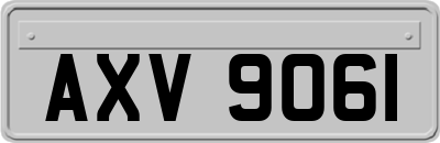 AXV9061