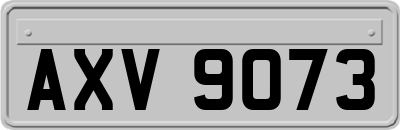 AXV9073
