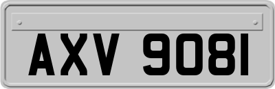 AXV9081