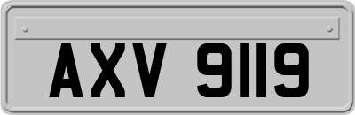 AXV9119