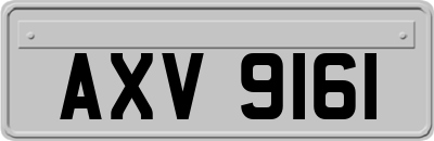 AXV9161