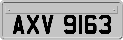 AXV9163