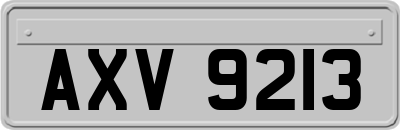 AXV9213