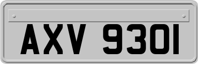 AXV9301