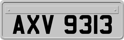 AXV9313