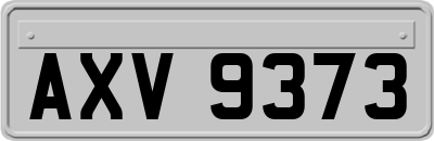 AXV9373