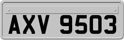 AXV9503