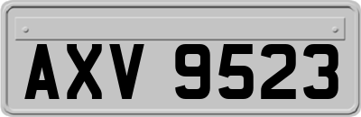 AXV9523