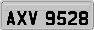 AXV9528