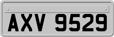 AXV9529