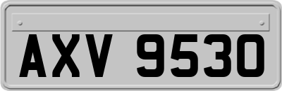 AXV9530