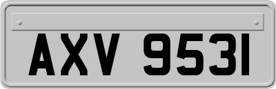 AXV9531
