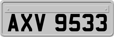 AXV9533