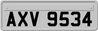 AXV9534