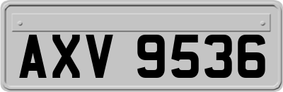AXV9536