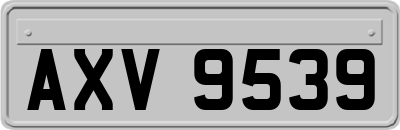AXV9539