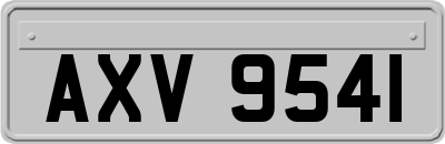 AXV9541