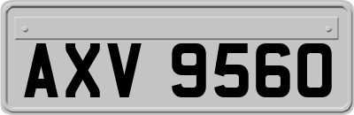 AXV9560