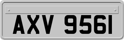 AXV9561