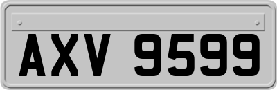 AXV9599
