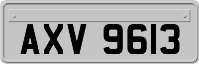 AXV9613