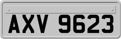 AXV9623
