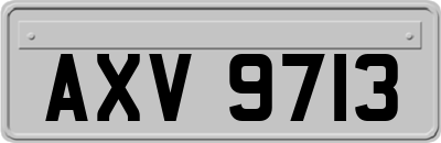 AXV9713