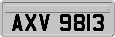 AXV9813