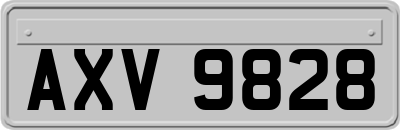 AXV9828