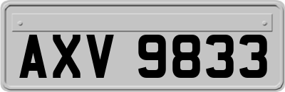 AXV9833