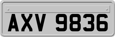 AXV9836
