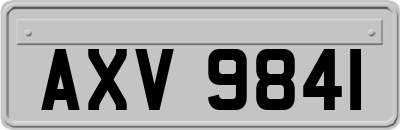 AXV9841