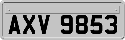 AXV9853
