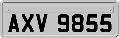AXV9855
