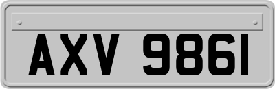 AXV9861