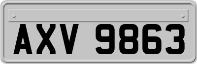 AXV9863