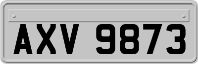 AXV9873