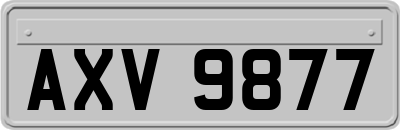 AXV9877