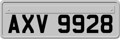 AXV9928