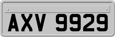 AXV9929