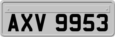 AXV9953
