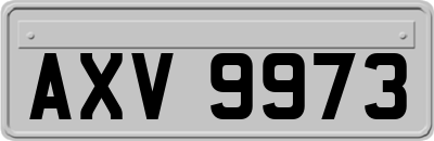 AXV9973